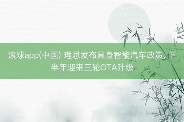 滚球app(中国) 理思发布具身智能汽车政策， 下半年迎来三轮OTA升级