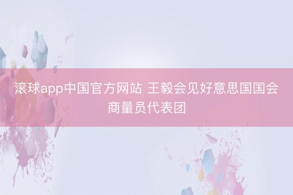 滚球app中国官方网站 王毅会见好意思国国会商量员代表团