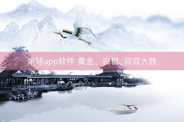 滚球app软件 黄金、白银， 双双大跌