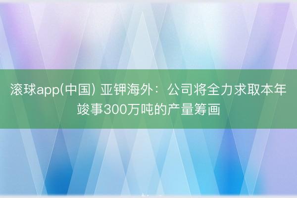 滚球app(中国) 亚钾海外:公司将全力求取本年竣事300万吨的产量筹画